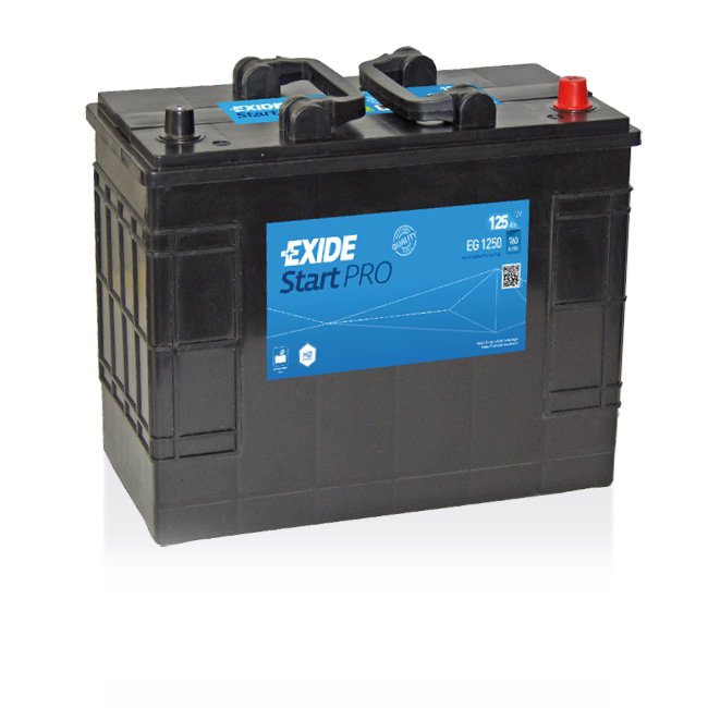 Аккумулятор - EXIDE StartPRO 12V 125AH 760A R+ 349x175x285мм / EG1250